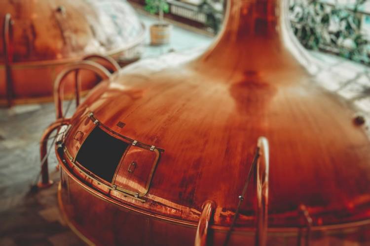 copper pot in distillery